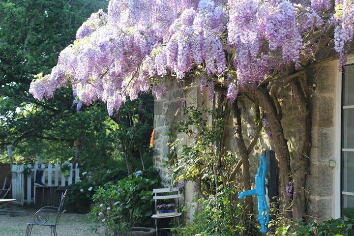 Location de vacances pour 2 personnes, avec jardin à Combrit - 4