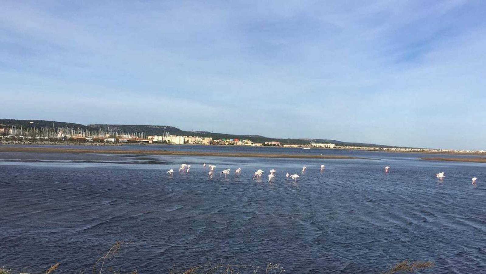 Le Chenal in Gruissan (Ville), Gruissan