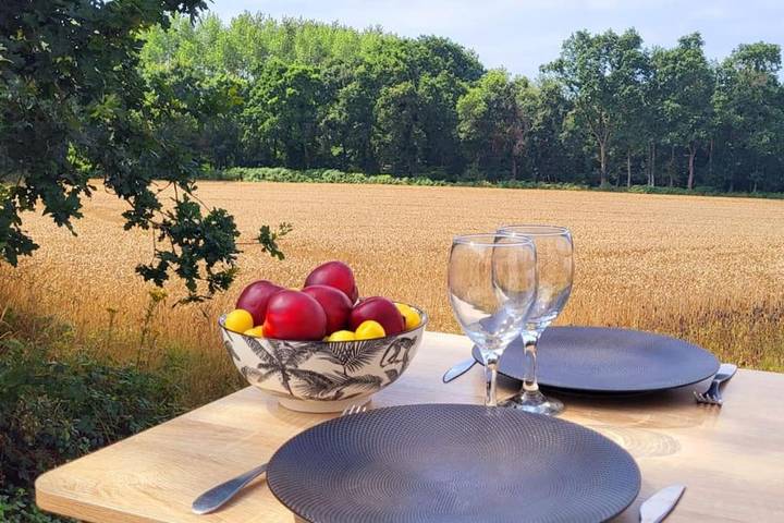 Maison de vacances pour 3 personnes, avec vue et terrasse, animaux acceptés