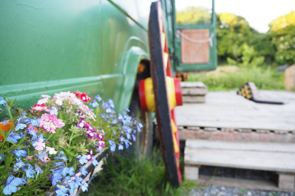Eco Glamping immersed in nature, ideal for family holidays and romantic getaways in Inch, Comté de Cork