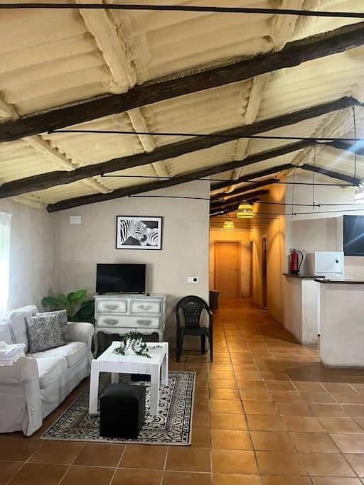 Apartamento de vacaciones para 7 personas, con jardín además de vistas y piscina, Se admiten mascotas en Montes de Toledo - 4