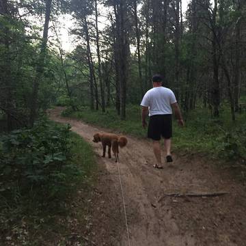 Log Cabin for 16 Guests in Roscommon County, Picture 2