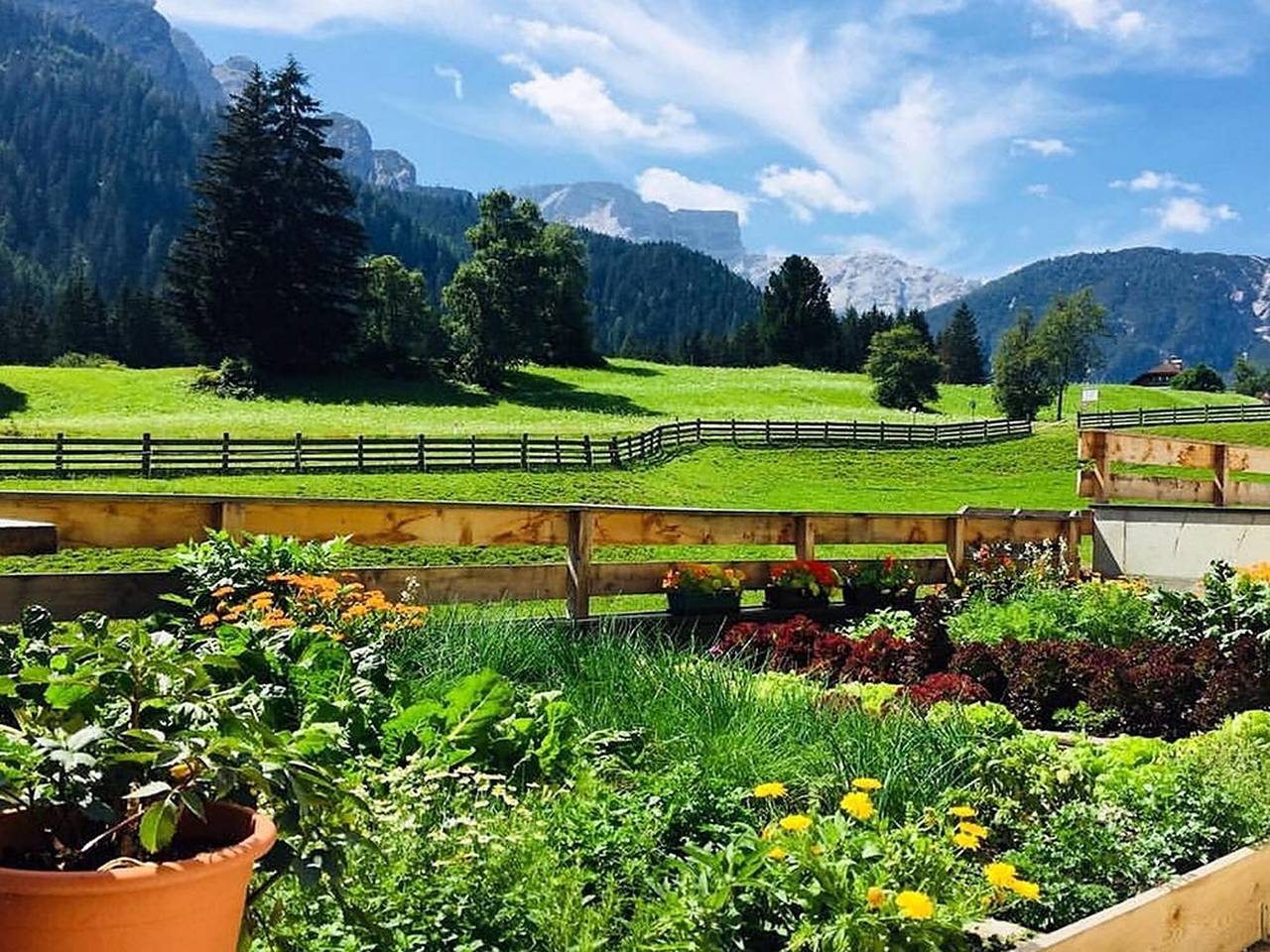 Studio 'Mösslhof Appartement Wiese' met uitzicht op de bergen, tuin & Wi-Fi, foto 15