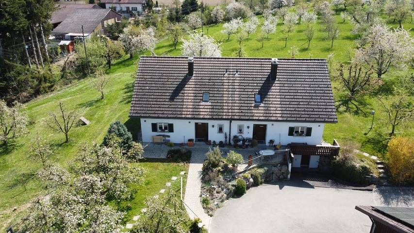 Bauernhof für 6 Personen, mit Terrasse und Garten in der Schweiz - 2