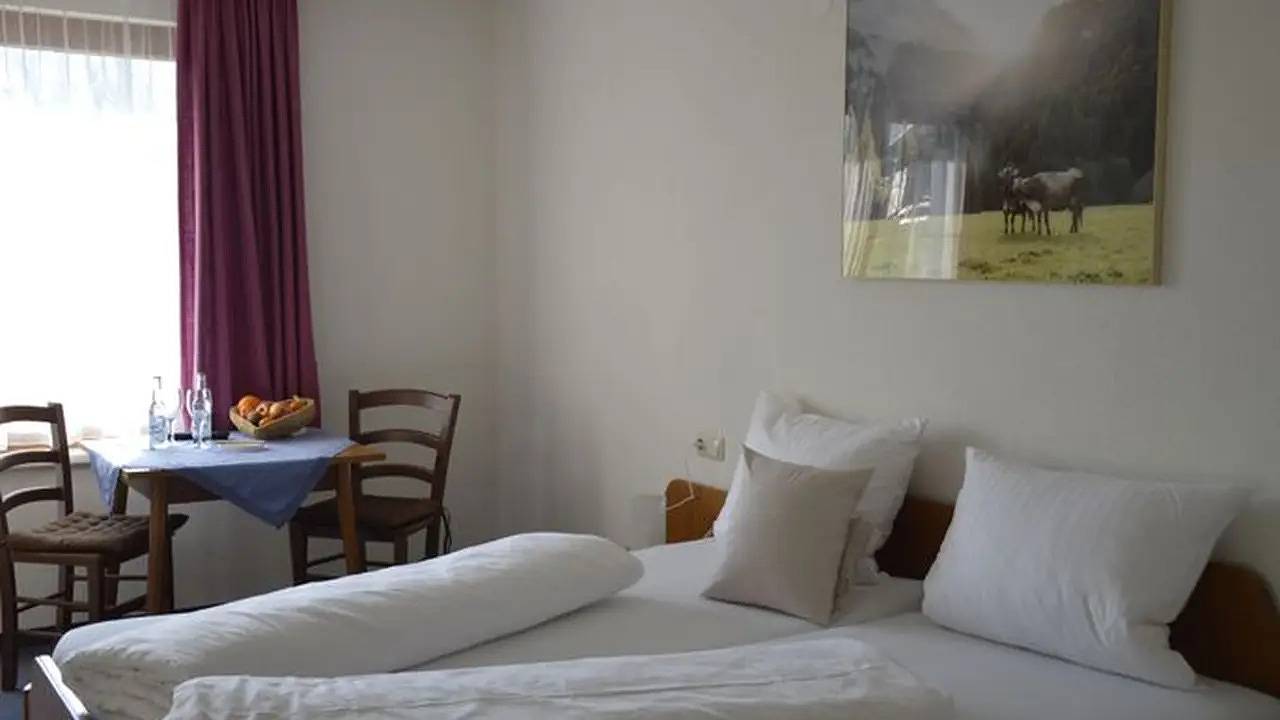 Ganze Ferienwohnung, Ferienwohnung für 3 Personen (20 m²) in Bregenzerwald