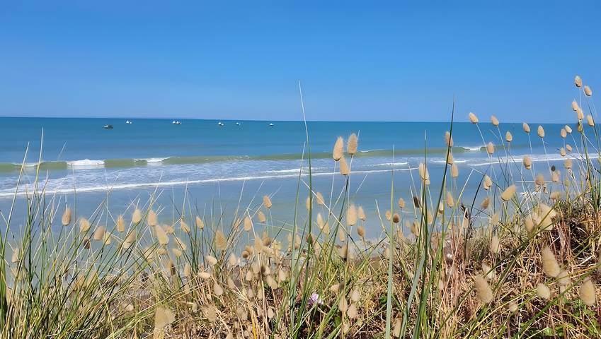 Vacation rental for 3 people, with pets in Normandy