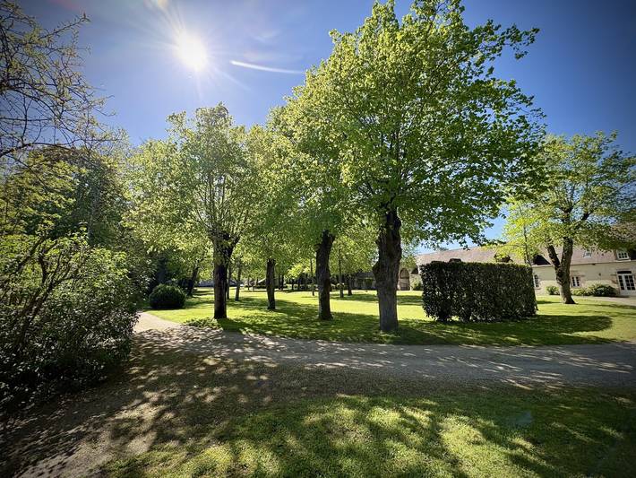 Gîte pour 5 personnes, avec jardin et terrasse, animaux acceptés dans le Cher - 3