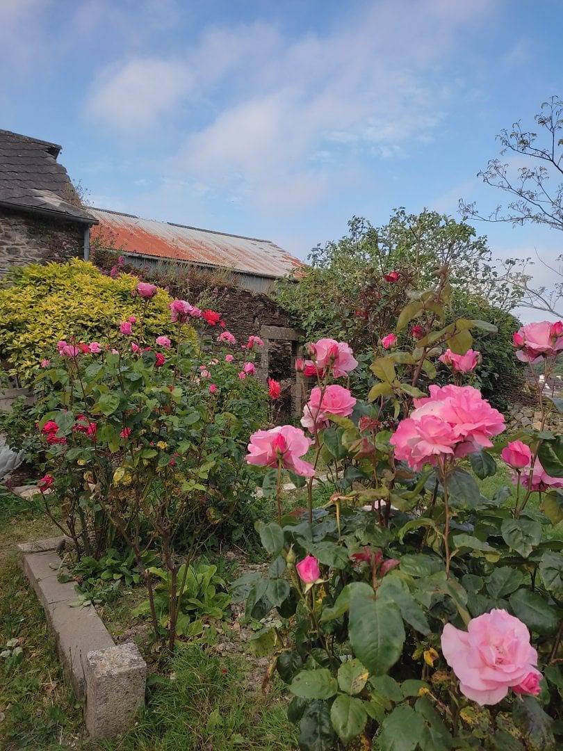 Maison d'hôtes - Les Chambres d'Hesperis - Aurore in Pleyben, Région de Châteaulin
