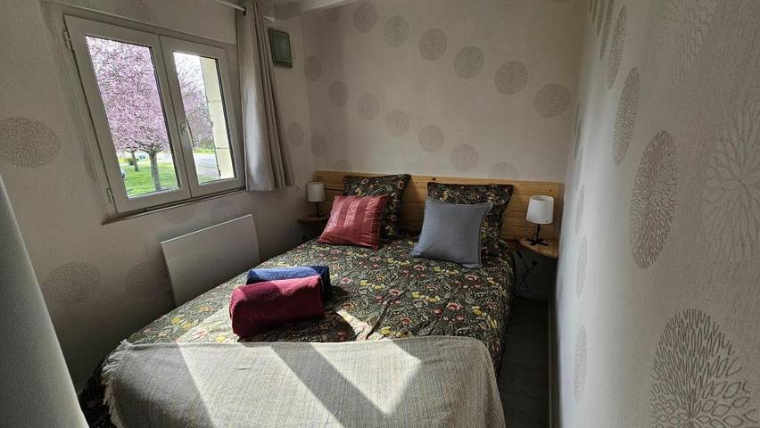 Location de vacances pour 2 personnes, avec terrasse à Savigny-en-Véron - 3