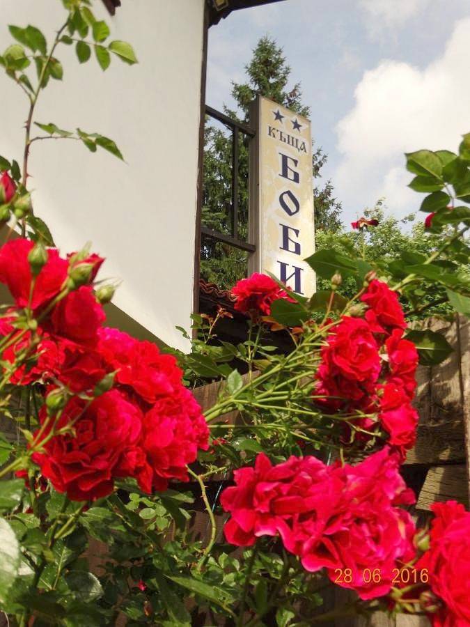 Maison d’hôte pour 2 personnes, avec jardin et terrasse à Koprivchtitsa - 3