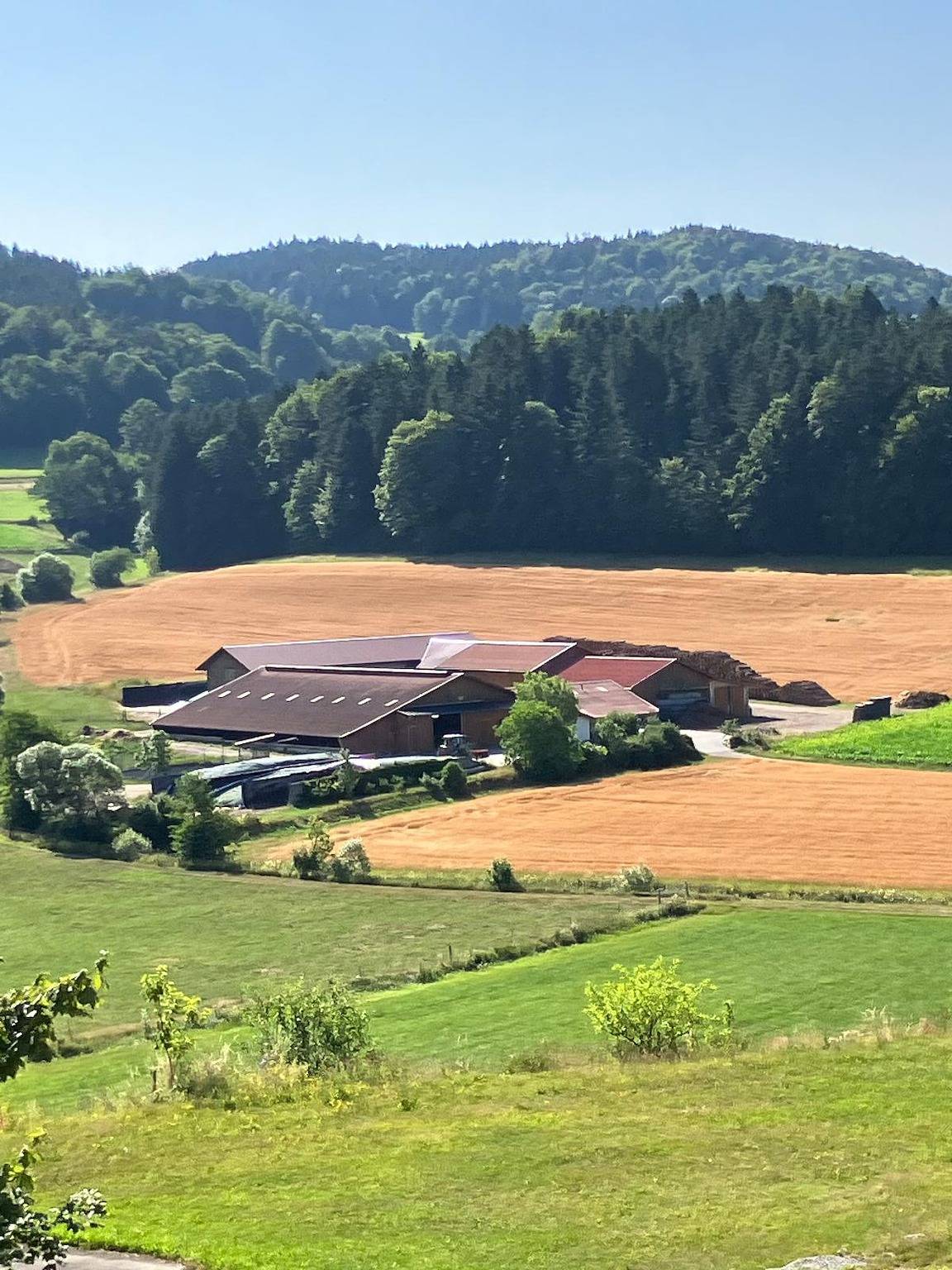 Mattheishof - Ferienwohnung Ii/ Bauernhaus in Grafenau, Ostbayern