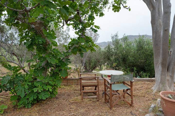 Entire studio, Apartment 'Sunrise' with Mountain View, Wi-Fi and Air Conditioning in Vai Beach, Lasithi