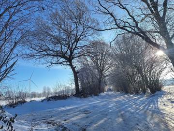 Ferienwohnung für 2 Personen, mit Terrasse und Garten in Kreis Segeberg