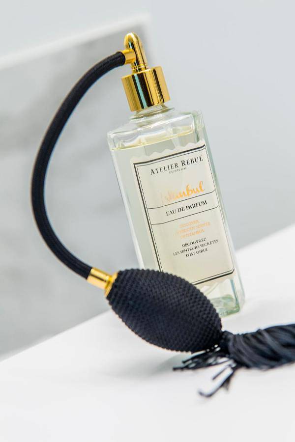 Gîte pour 4 personnes, avec jacuzzi ainsi que terrasse et piscine dans Duinbergen - 2