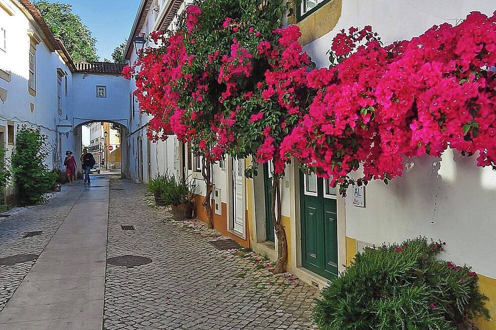 Peaceful Holiday Villa in Tomar, Sicó/Alvaiazere