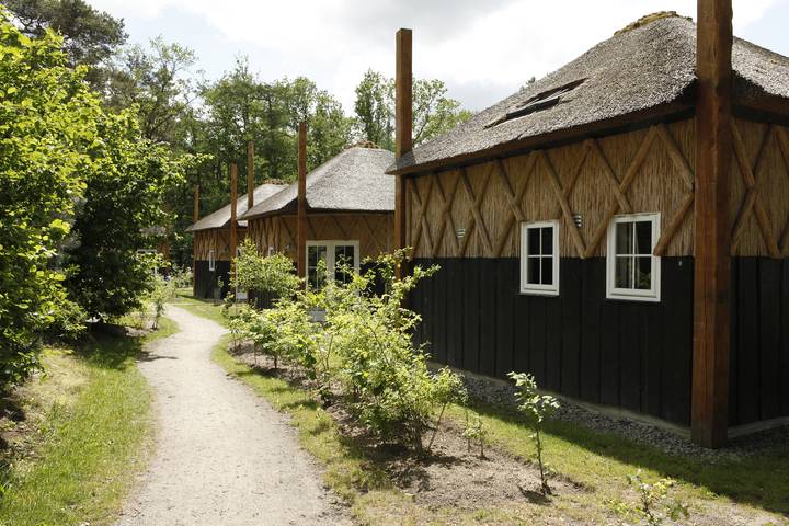 Vakantiepark voor 6 personen in Norg