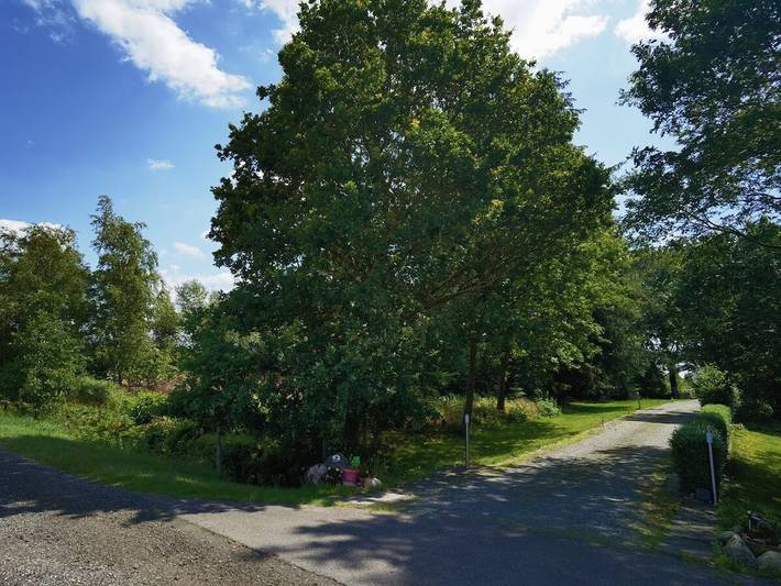 Ferienhaus für 12 Personen, mit Garten und Sauna, mit Haustier in Mittelholstein - 4