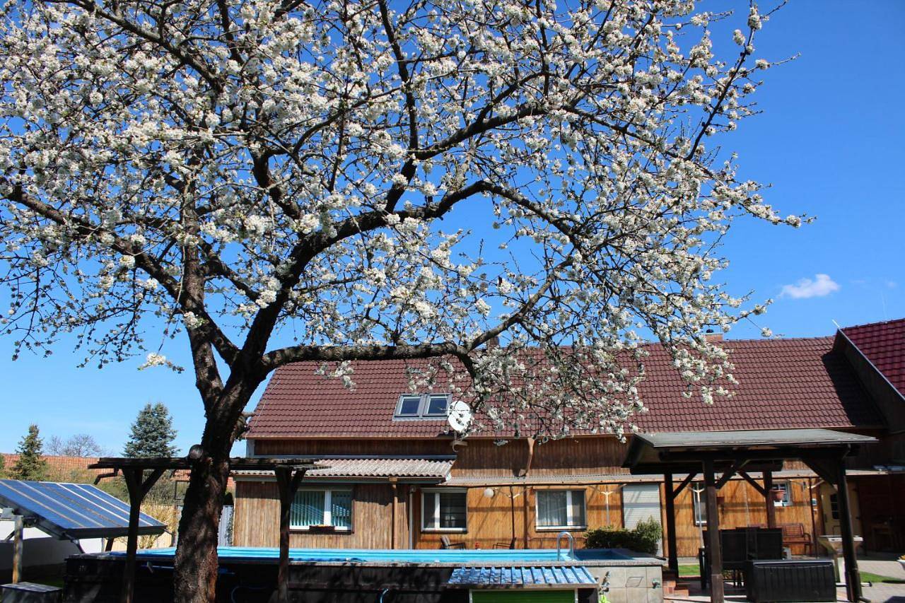 Ganze Wohnung, Spreewald Unterkünfte in Briesensee, Neu Zauche