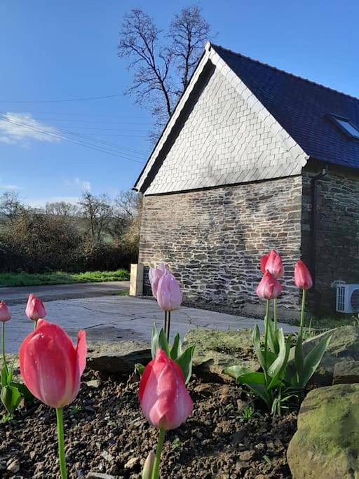 Appartement entier, The nest in Spézet, Région de Châteaulin