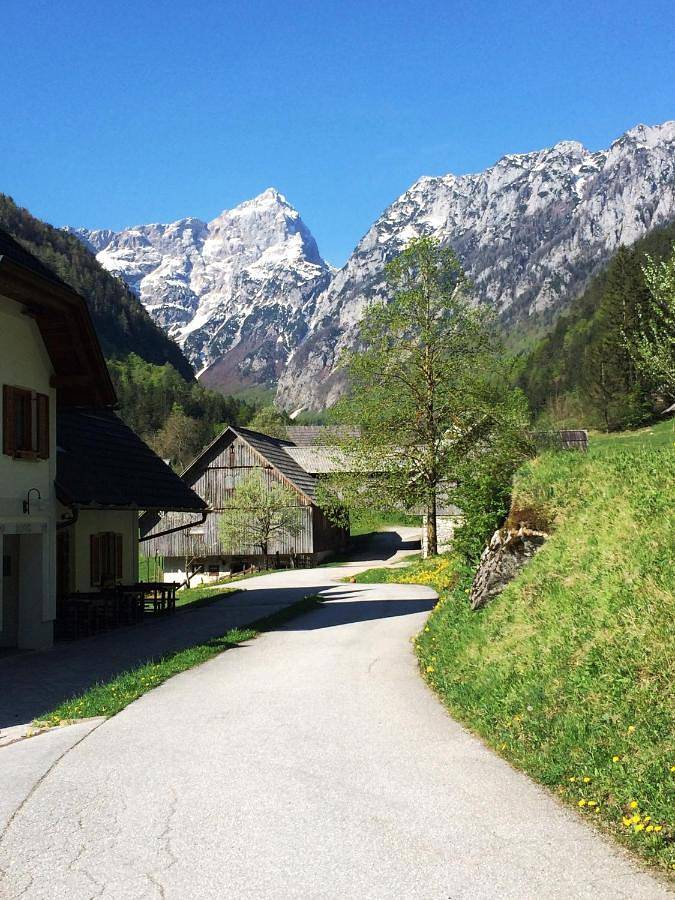 Gîte pour 3 personnes, avec sauna ainsi que jardin et terrasse à Solčava - 4