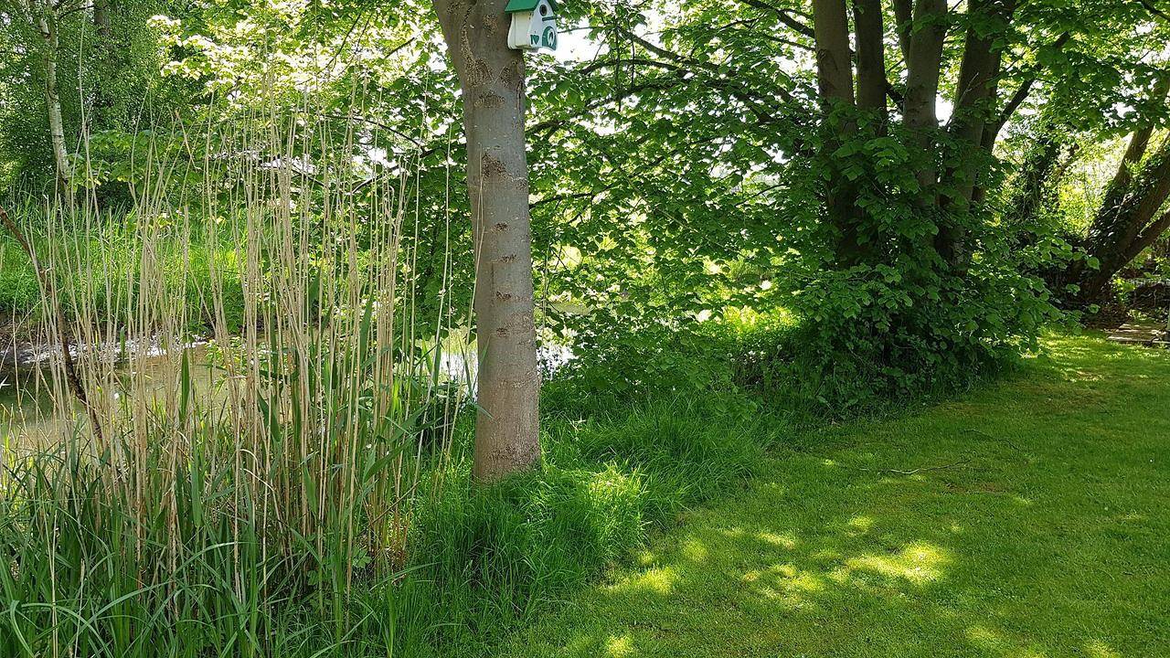 Ganze Ferienwohnung, Ferienwohnung für 5 Personen (85 m²) in Winsen (Luhe) in Winsen (Luhe), Nordheide