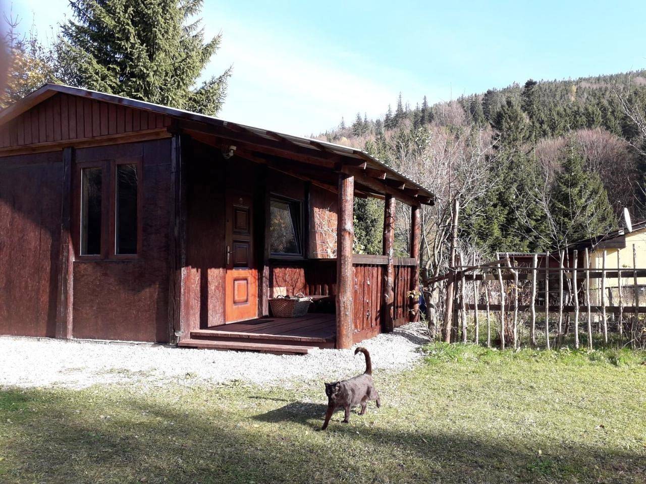 Zbójnicki Ostęp-Nocleg Trapera in Sienna Czarna Góra, Sudety (Polska)
