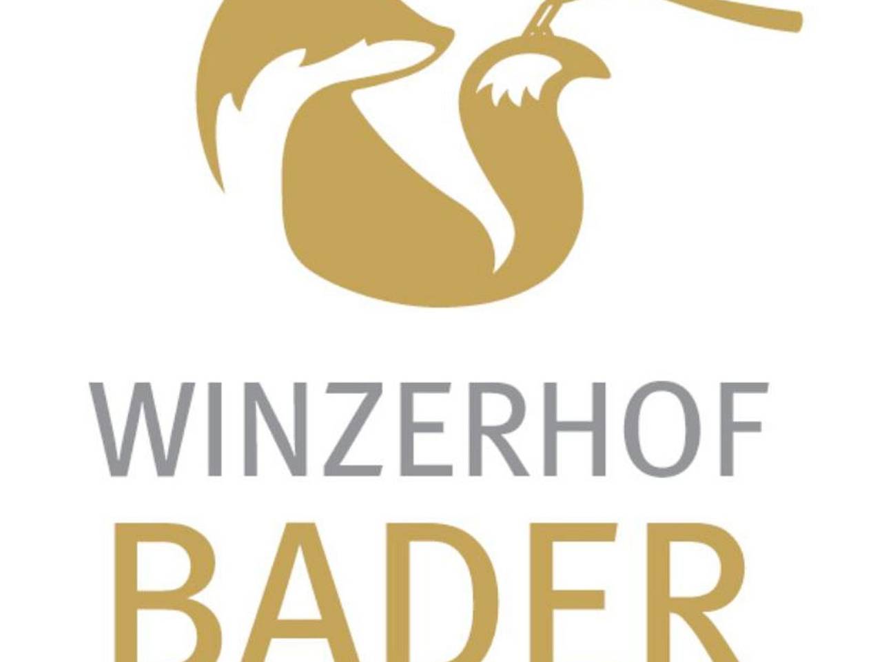 Ganze Ferienwohnung, Gästehaus Winzerhof Bader in Heuchelheim-Klingen, Südliche Weinstraße