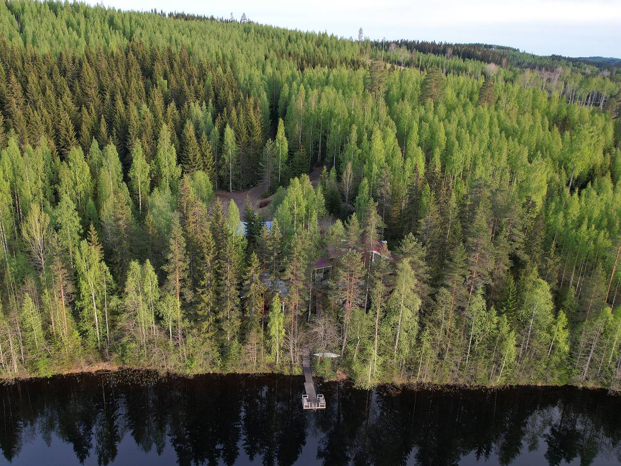 Villa rääpys in Leppävirta