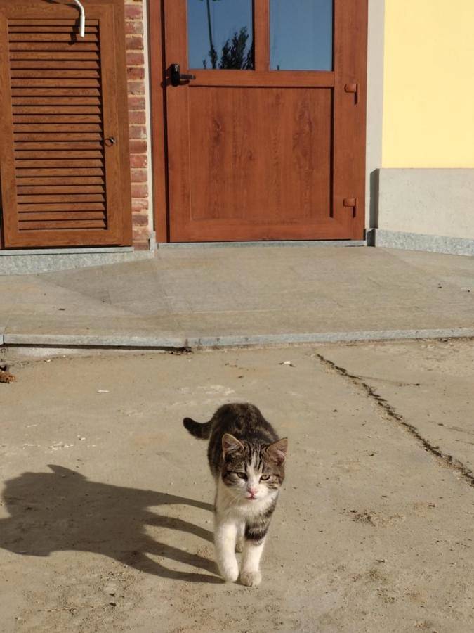 Cascina Pontetto in Asti, Asti (Commune)