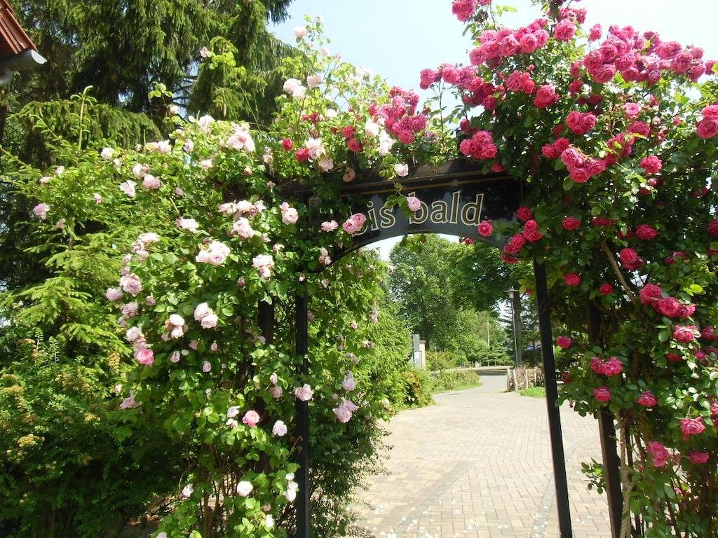 "Urlaub am See" in Teupitzer See, Schwerin (Brandenburg)
