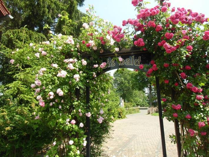 "Urlaub am See" in Teupitzer See, Schwerin (Brandenburg)