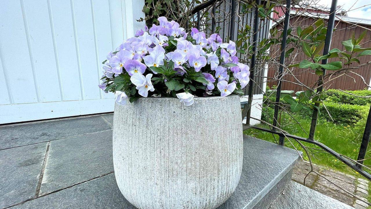 Ferienhaus für 4 Personen (100 m²) in Linköpings Kommun in Linköping, Östergötland