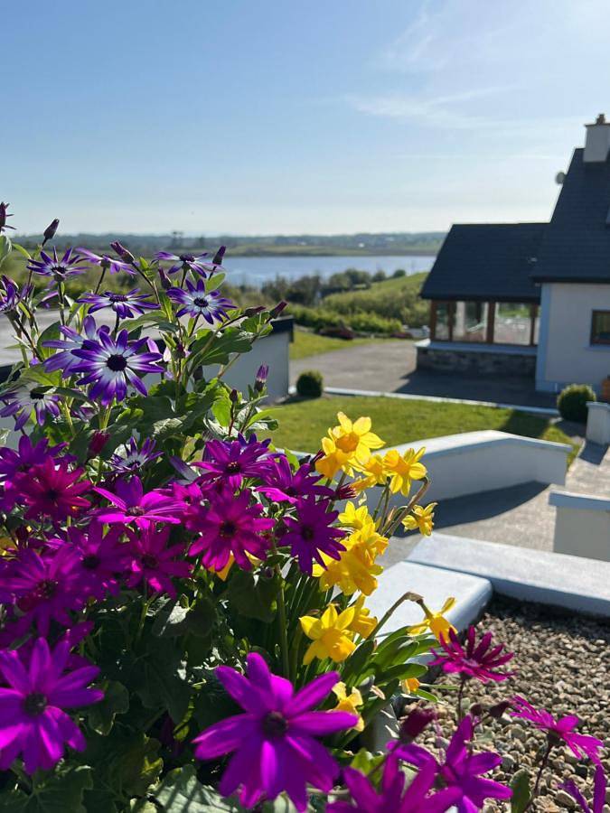 Deluxe Double or Twin Room in Castlebar, Lough Conn