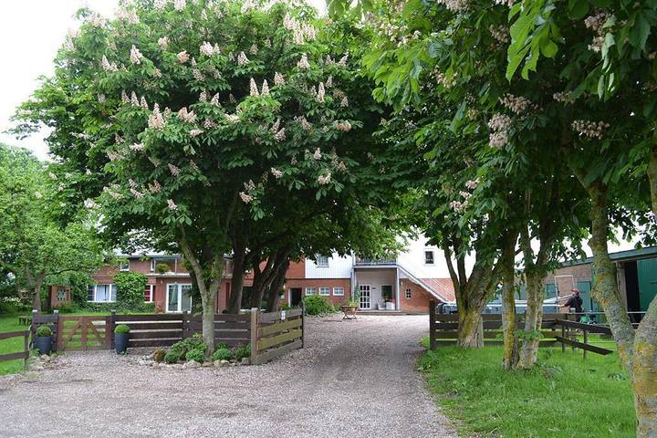 Ganze Ferienwohnung, App. 8 Rosentraum in Tating, Eiderstedt
