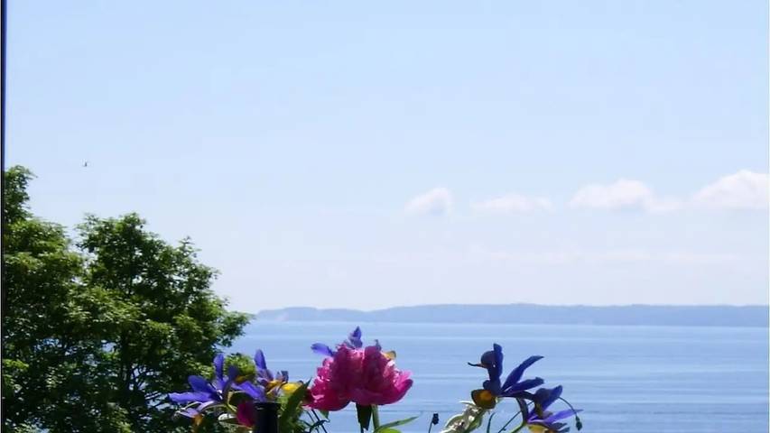 Ferienhaus für 5 Personen, mit Balkon, mit Haustier in Sassnitz - 2