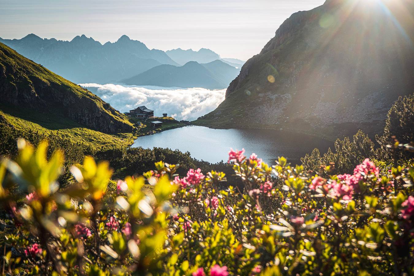 Geheel vakantieappartement, Vakantieappartement voor 13 personen met tuin in Fieberbrunn, Bezirk Kitzbühel (stad)