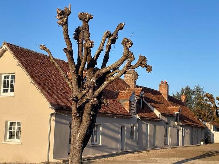 Chambre d’hôte pour 2 personnes, avec jardin ainsi que vue et terrasse, animaux acceptés à Cellettes - 3