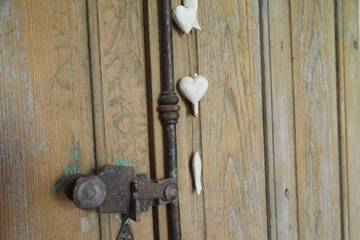 Location de vacances pour 15 personnes, avec jardin à Aureilhan