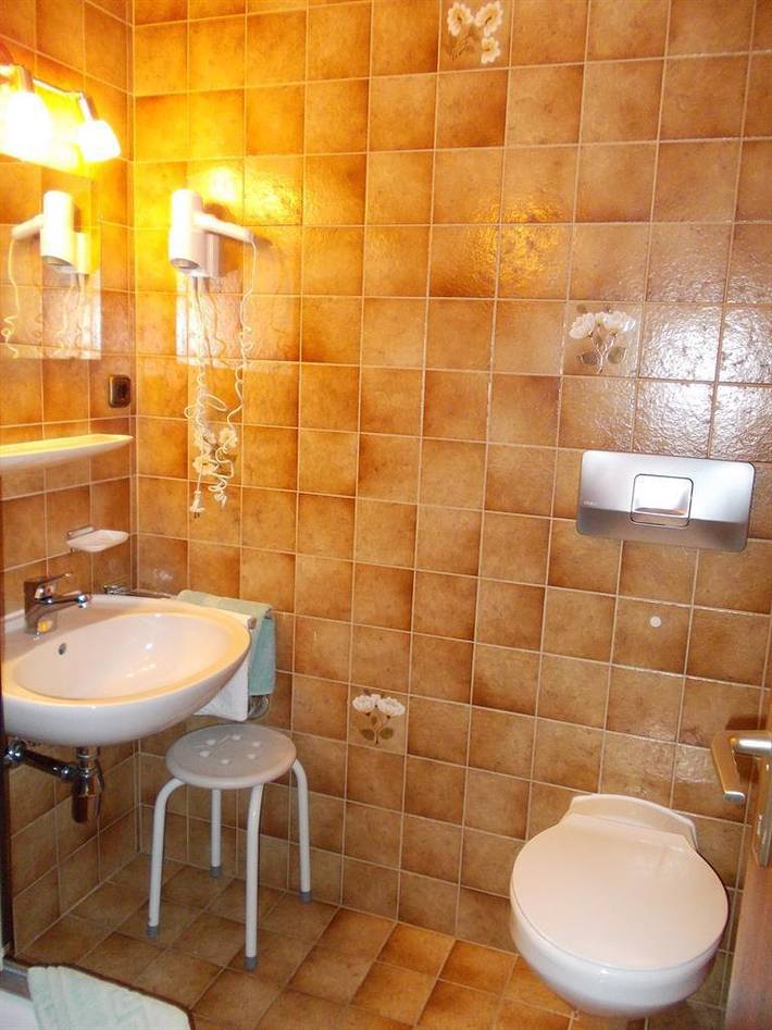 Ganze Ferienwohnung, Apartment/Wohn-Schlafraum/ Du/Wc Nr.2  "Aurikel" in Mittelberg, Kleinwalsertal