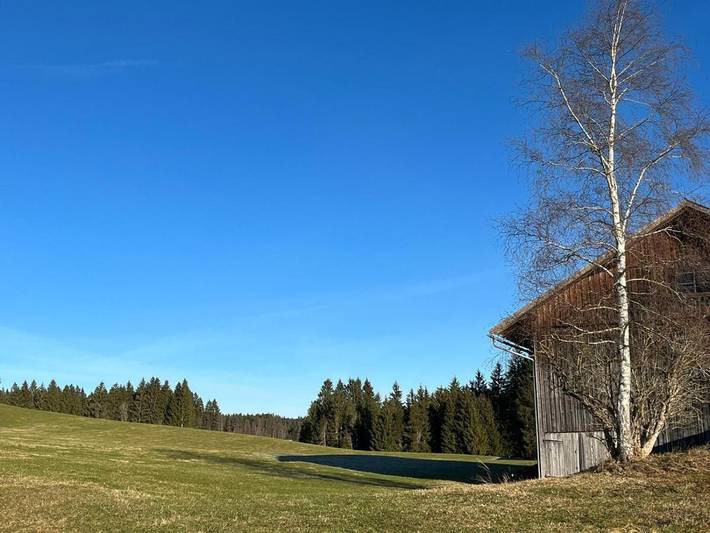 Ferienwohnung für 2 Personen, mit Terrasse und Garten in Görisried - 4