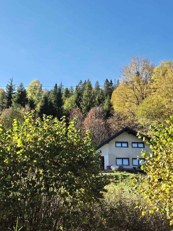 Ptasi domek in Szczyrk, Karpaty (Polska)