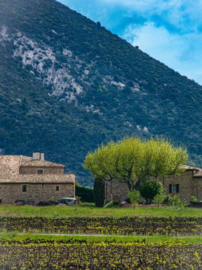 Location de vacances pour 6 personnes, avec Terrasse ainsi que Jardin et Vue à Saint-Pantaléon-les-Vignes
