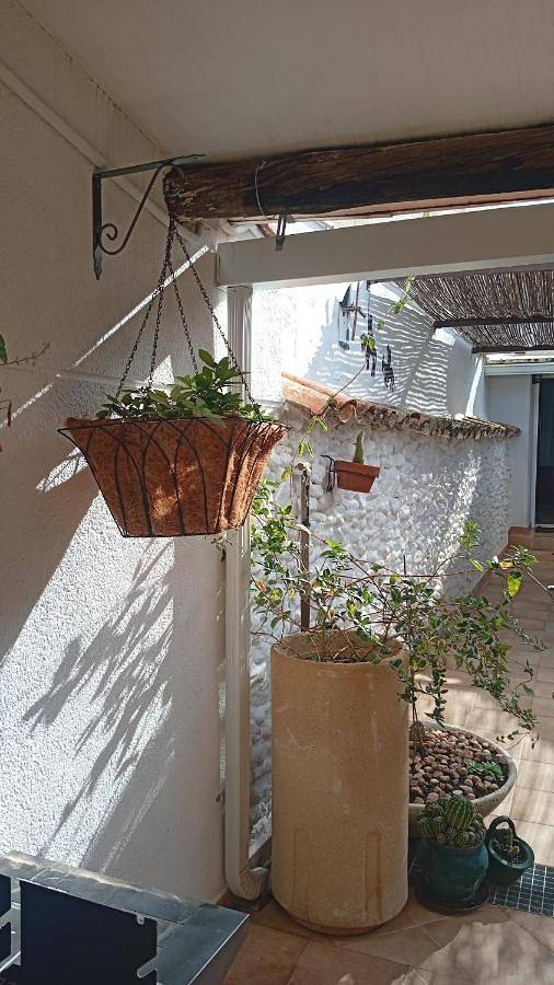 Casa rural para 6 personas, con jardín en Campo de Montiel - 2