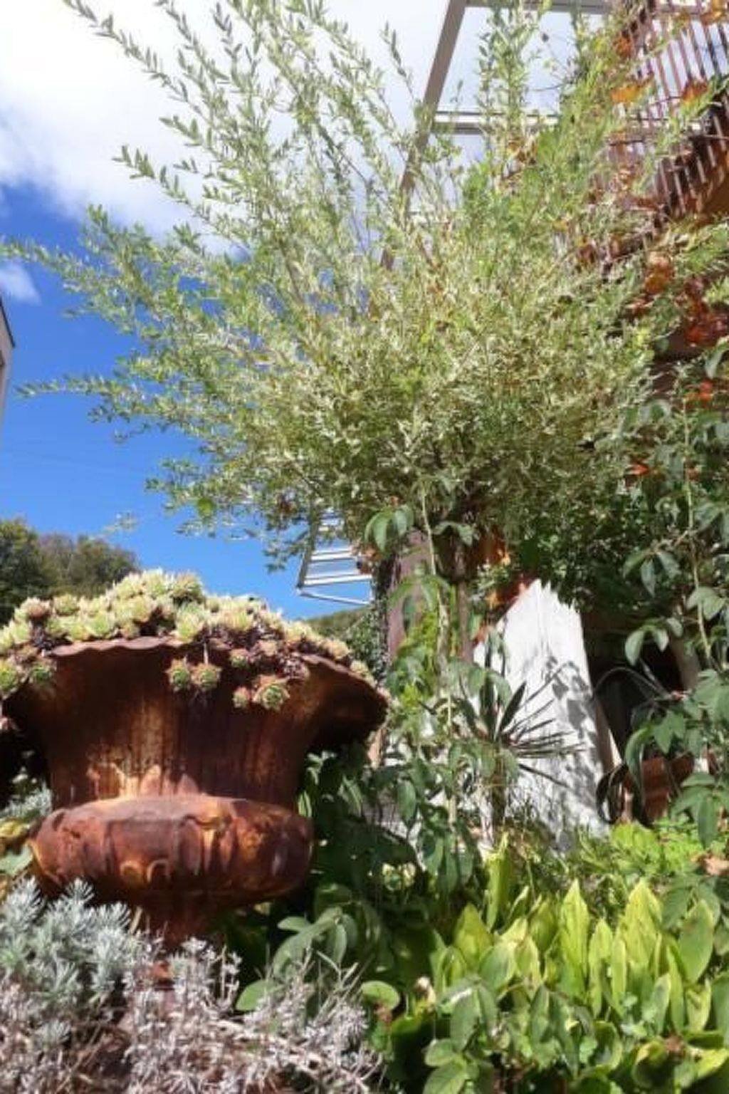 Ganze Wohnung, Seeblick in Sarnen, Obwalden