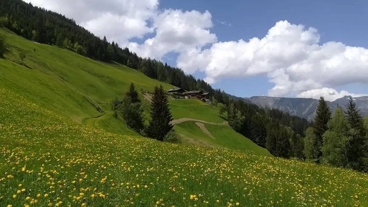 Ganze Ferienwohnung, Ferienwohnung für 3 Personen (41 m²) in Hüttschlag in Hüttschlag, Ski Amadé