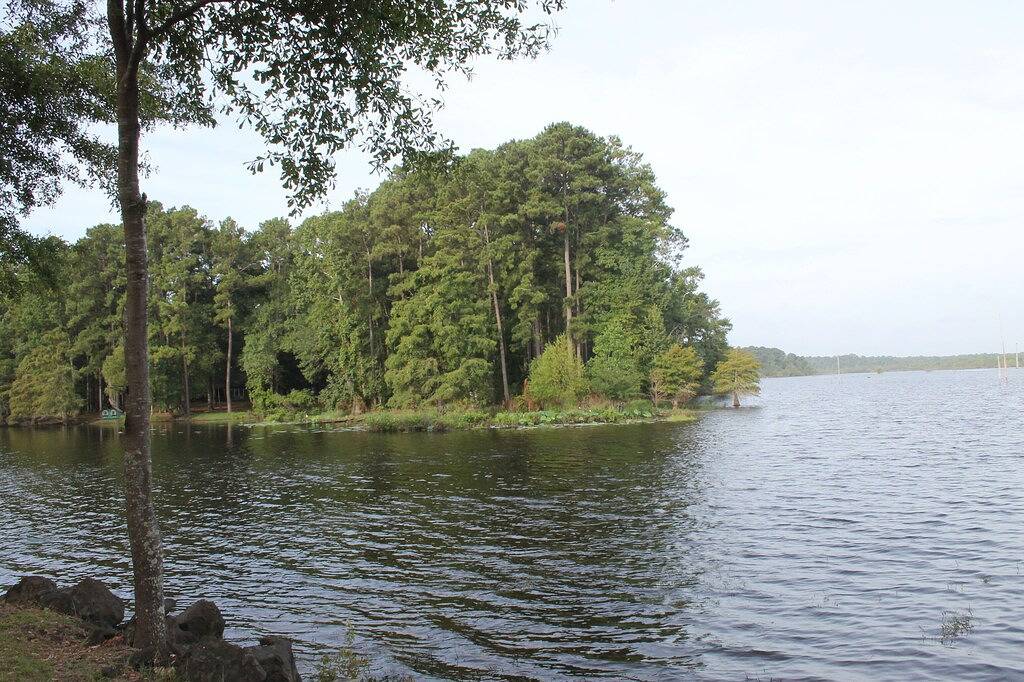 Fischertraum auf Six Mile Bayou in Toledo Bend Reservoir