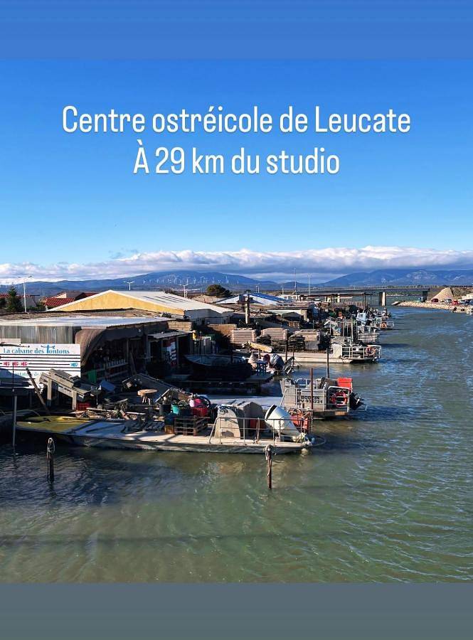 Gîte pour 4 personnes, avec piscine et terrasse, animaux acceptés à Espira-de-l'Agly - 3