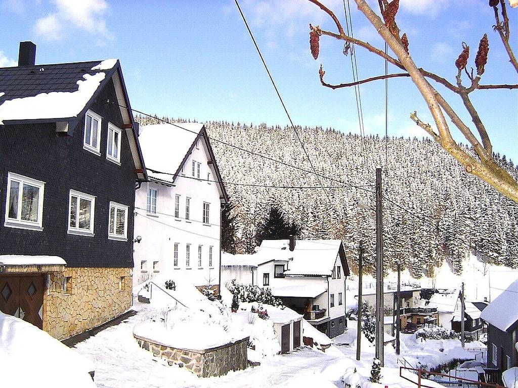 Ferienwohnung mit 1 Schlafzimmer in Katzhütte, Rennsteig