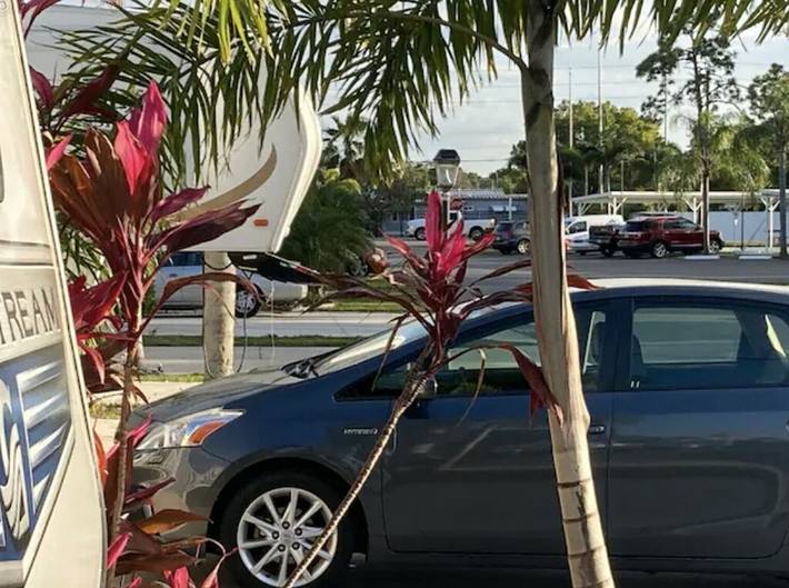 Camping pour 6 personnes, avec terrasse et jacuzzi, animaux acceptés dans Floride - 3