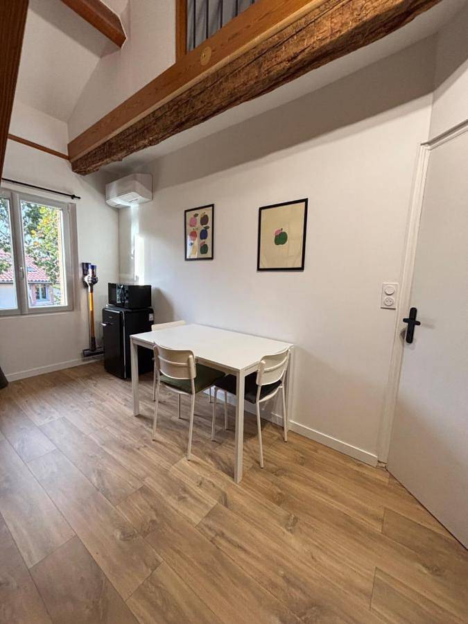 Gîte pour 3 personnes à Pibrac - 2